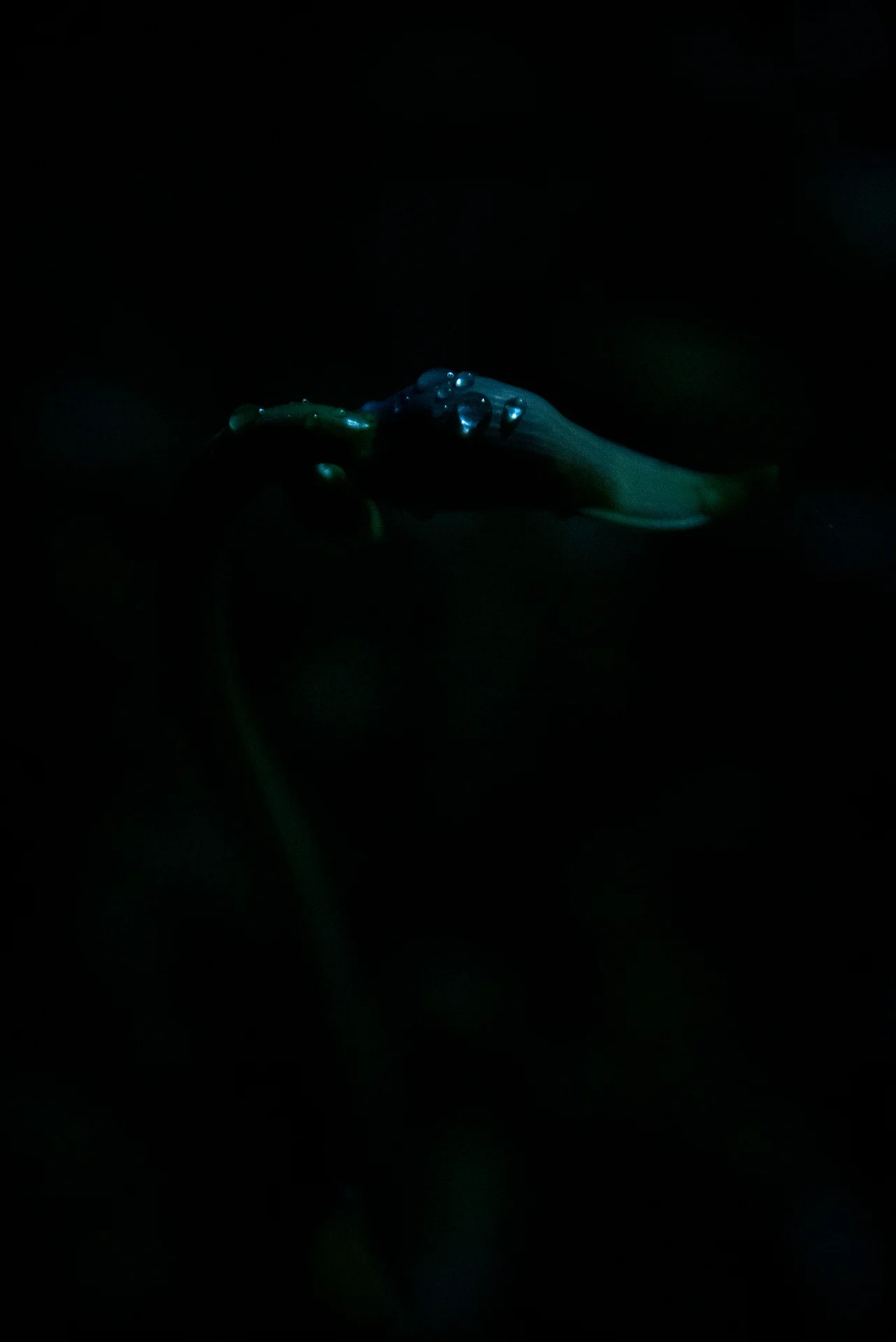 Personal — 21